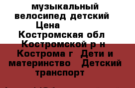 музыкальный велосипед детский › Цена ­ 1 800 - Костромская обл., Костромской р-н, Кострома г. Дети и материнство » Детский транспорт   